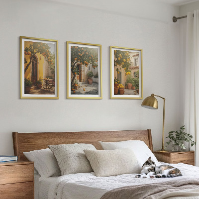 Set 3 slik v okvirju Lonci za citruse na sončni terasi
