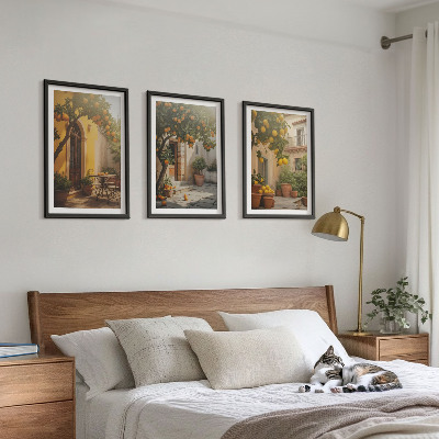 Set 3 slik v okvirju Lonci za citruse na sončni terasi