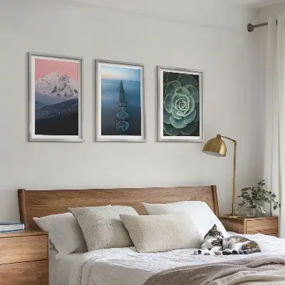 Večdelna slika v okvirju z motivom gora, rožnatega neba, vode in sukulent
