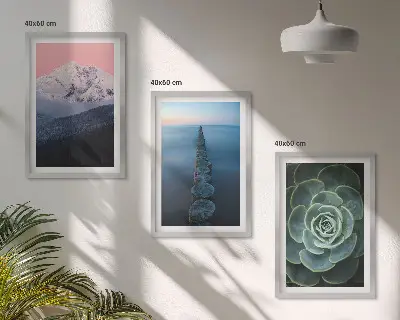 Večdelna slika v okvirju z motivom gora, rožnatega neba, vode in sukulent
