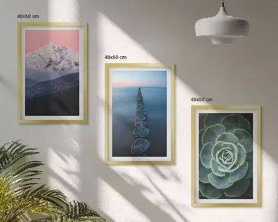 Večdelna slika v okvirju z motivom gora, rožnatega neba, vode in sukulent