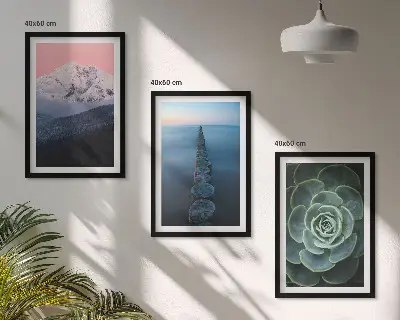 Večdelna slika v okvirju z motivom gora, rožnatega neba, vode in sukulent