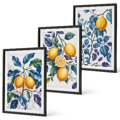 Set 3 slik v okvirju Modri ​​listi limonine veje