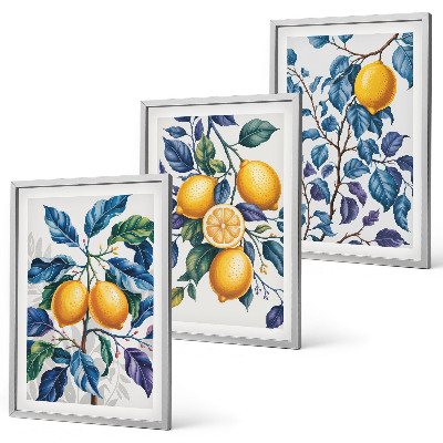 Set 3 slik v okvirju Modri ​​listi limonine veje