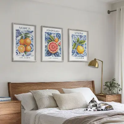 Triptih s starinskimi ilustracijami citrusov v okvirju