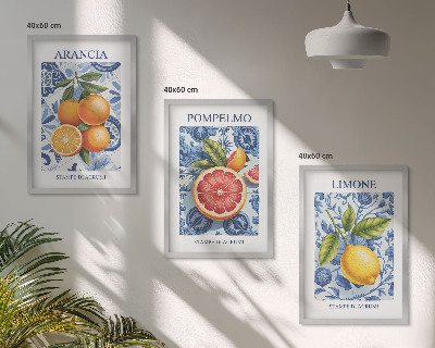 Triptih v okvirju Starinske ilustracije citrusov