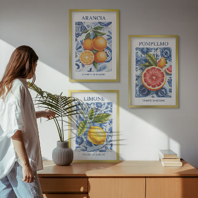 Triptih v okvirju Starinske ilustracije citrusov