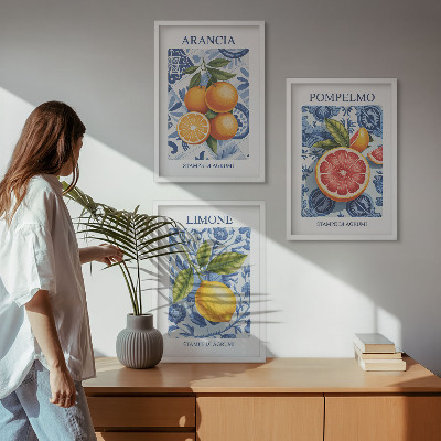 Triptih v okvirju Starinske ilustracije citrusov