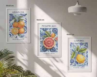 Triptih s starinskimi ilustracijami citrusov v okvirju