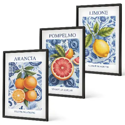 Triptih s starinskimi ilustracijami citrusov v okvirju
