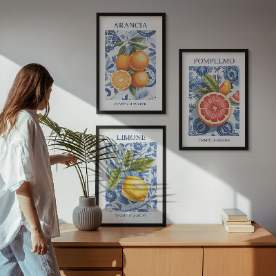 Triptih v okvirju Starinske ilustracije citrusov