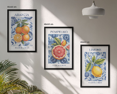 Triptih v okvirju Starinske ilustracije citrusov