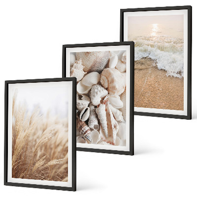 Triptih v okvirju Motivi na plaži, školjke, valovi