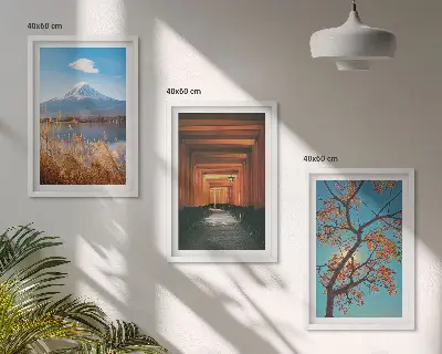 Japonske naravne pokrajine triptih v okvirju