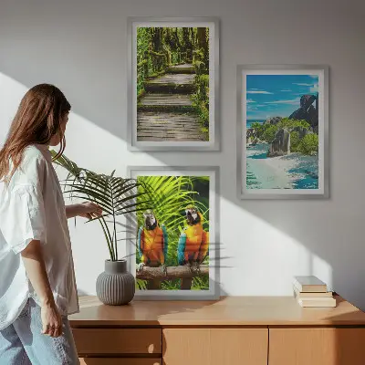 Slap tropskih gozdnih papig triptih v okvirju