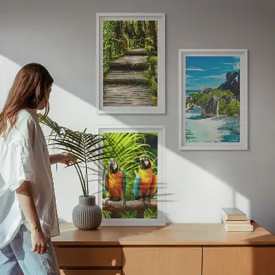 Slap tropskih gozdnih papig triptih v okvirju