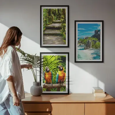 Slap tropskih gozdnih papig triptih v okvirju