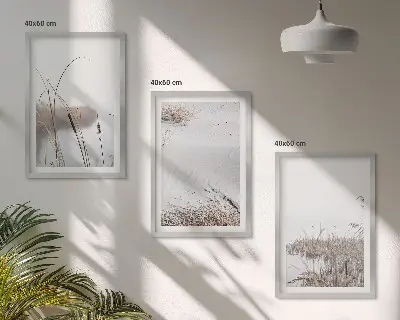 Vodna vegetacija poleti komplet 3 slik v okvirju