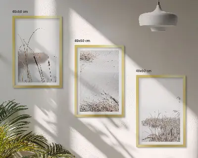 Vodna vegetacija poleti komplet 3 slik v okvirju