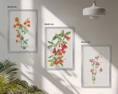 Starinska retro slika cvetja komplet 3 slik v okvirju