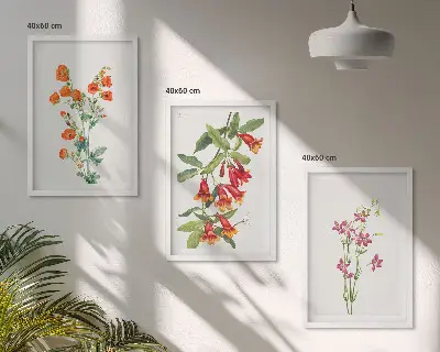 Starinska retro slika cvetja komplet 3 slik v okvirju