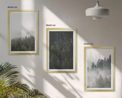 Triptih v okvirju z motivom zelenih gozdov v megli in narave