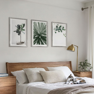 Set 3 slik v okvirju Minimalizem zelenih rastlin