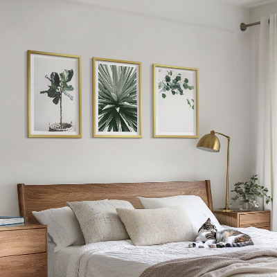 Set 3 slik v okvirju Minimalizem zelenih rastlin