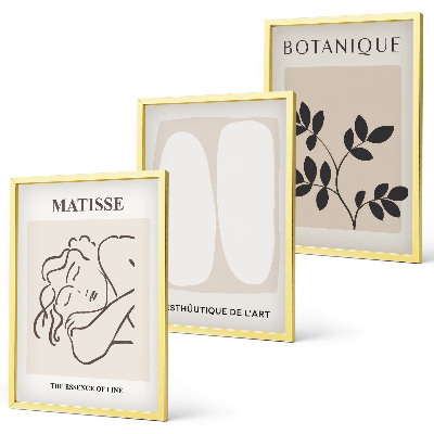 Večdelna slika v okvirju Matissejeve elegantne rastlinske slike