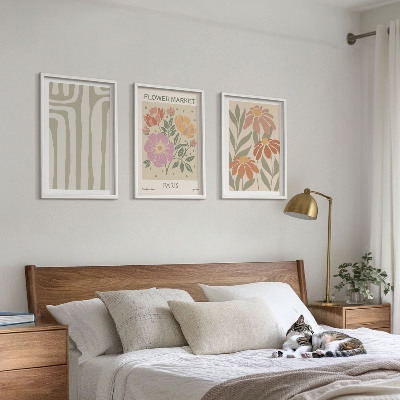 Set 3 slik v okvirju Botanični motivi Pariški minimalizem