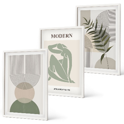 Set 3 slik v okvirju Elegantna grafika rastlin
