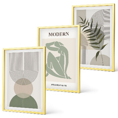 Set 3 slik v okvirju Elegantna grafika rastlin