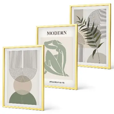 Elegantna grafika rastlin set 3 slik v okvirju