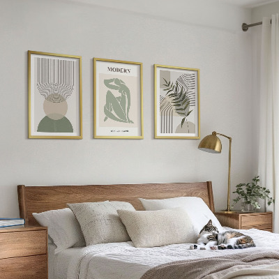 Set 3 slik v okvirju Elegantna grafika rastlin