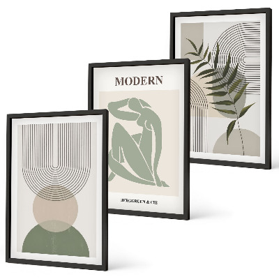 Set 3 slik v okvirju Elegantna grafika rastlin