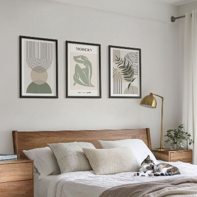 Set 3 slik v okvirju Elegantna grafika rastlin