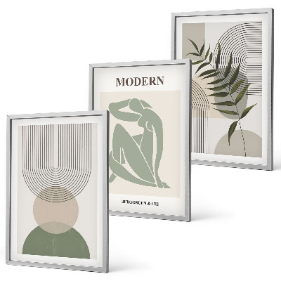 Set 3 slik v okvirju Elegantna grafika rastlin