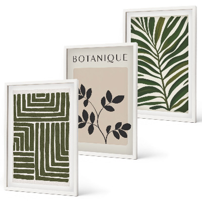 Set 3 slik v okvirju Botanični boho minimalizem