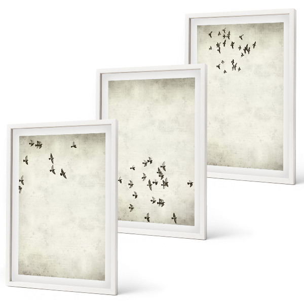 Set 3 slik v okvirju Minimalistično slikanje ptic