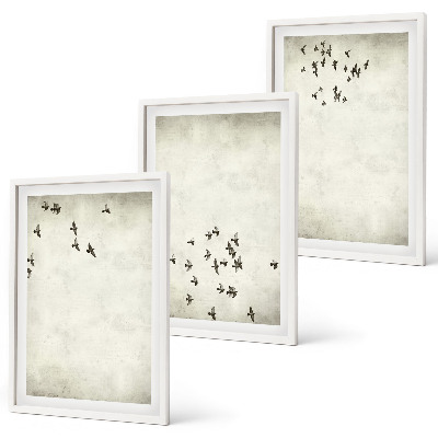 Set 3 slik v okvirju Minimalistično slikanje ptic