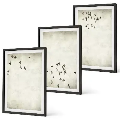 Komplet 3 slik v okvirju minimalistični motiv ptic