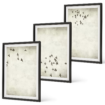 Set 3 slik v okvirju Minimalistično slikanje ptic