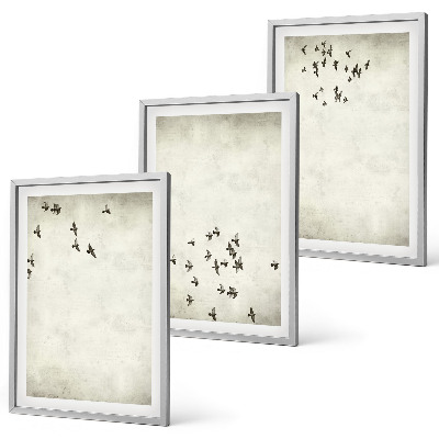 Set 3 slik v okvirju Minimalistično slikanje ptic