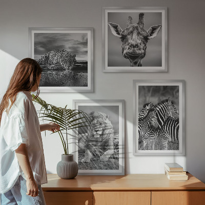 Komplet slik nad zofo Divje živali Lev Jaguar Žirafa Zebre