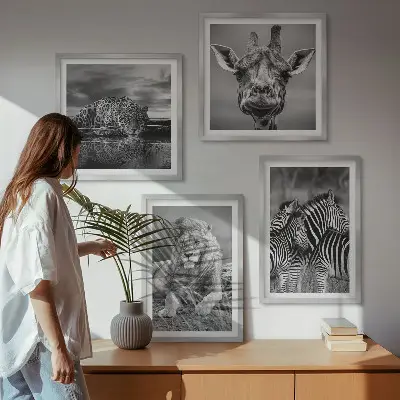 Komplet slik nad zofo z motivi divjih živali, kot so lev, jaguar, žirafa in zebre