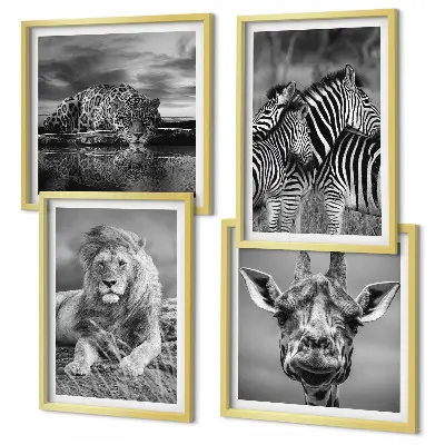 Komplet slik nad zofo z motivi divjih živali, kot so lev, jaguar, žirafa in zebre
