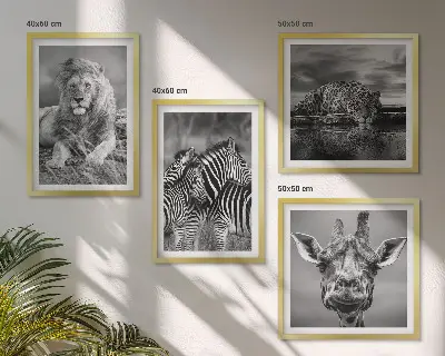 Komplet slik nad zofo z motivi divjih živali, kot so lev, jaguar, žirafa in zebre