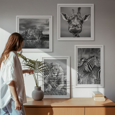 Komplet slik nad zofo Divje živali Lev Jaguar Žirafa Zebre