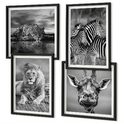 Komplet slik nad zofo z motivi divjih živali, kot so lev, jaguar, žirafa in zebre