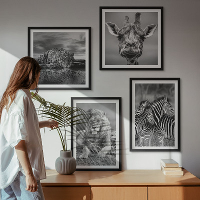 Komplet slik nad zofo Divje živali Lev Jaguar Žirafa Zebre